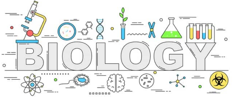 Principles of Biology 01424111