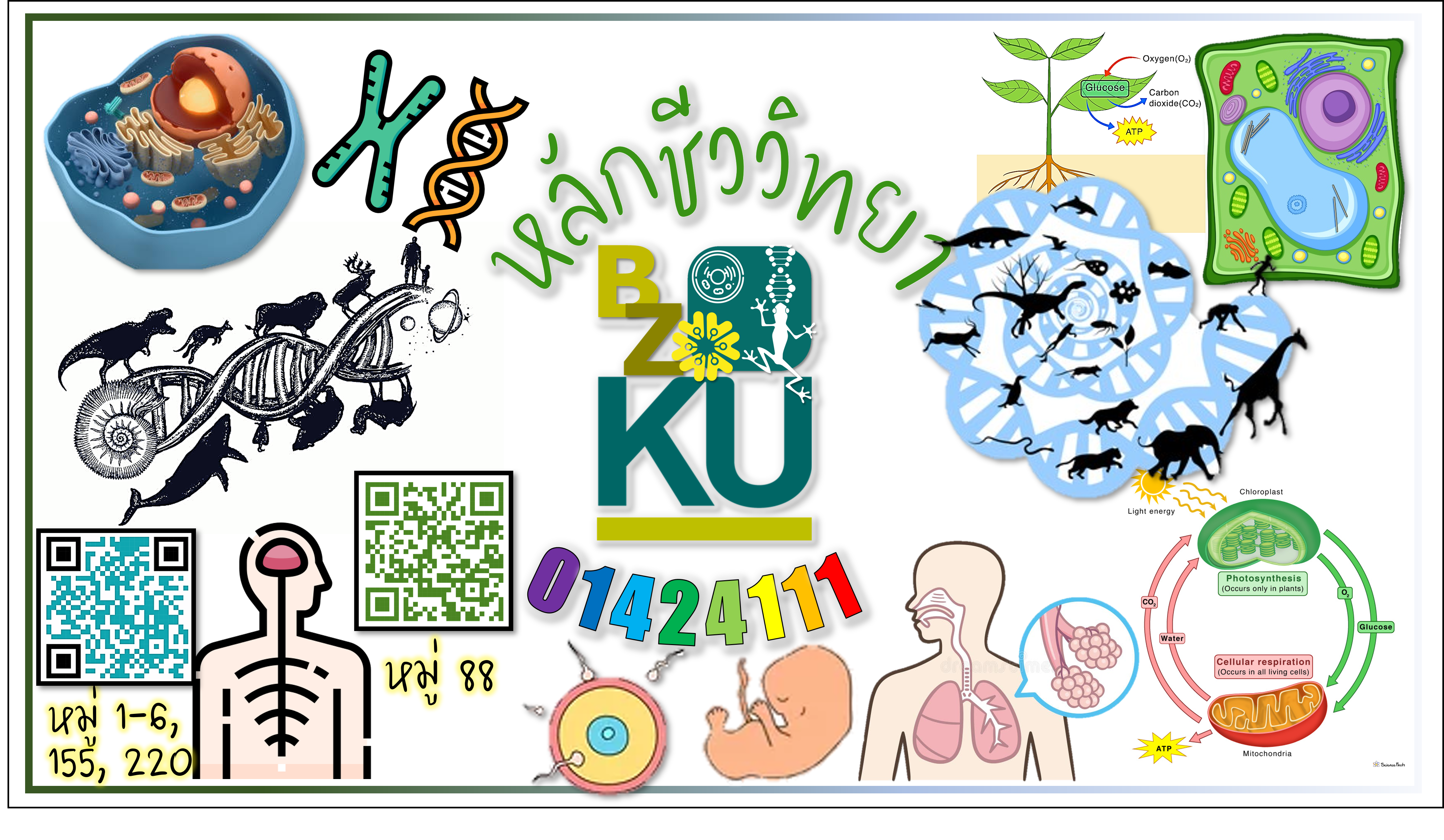 01424111 Principles of Biology (1st 2023) 01424111