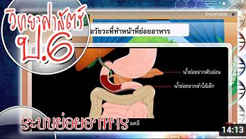 วิทยาศาตร์ป.6 TEDETปี64 2022_T1